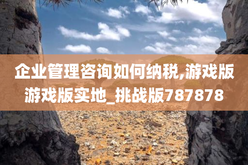 企业管理咨询如何纳税,游戏版游戏版实地_挑战版787878