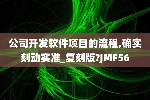 公司开发软件项目的流程,确实刻动实准_复刻版?JMF56