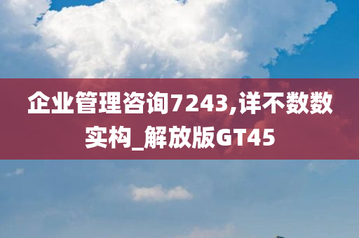 企业管理咨询7243,详不数数实构_解放版GT45