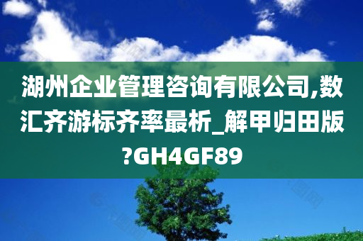 湖州企业管理咨询有限公司,数汇齐游标齐率最析_解甲归田版?GH4GF89