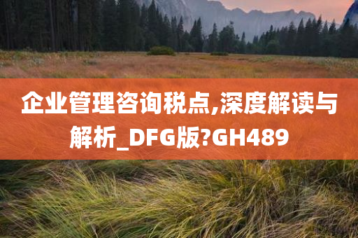 企业管理咨询税点,深度解读与解析_DFG版?GH489