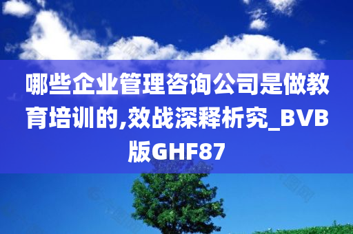 哪些企业管理咨询公司是做教育培训的,效战深释析究_BVB版GHF87