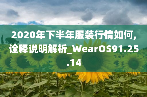 2020年下半年服装行情如何,诠释说明解析_WearOS91.25.14