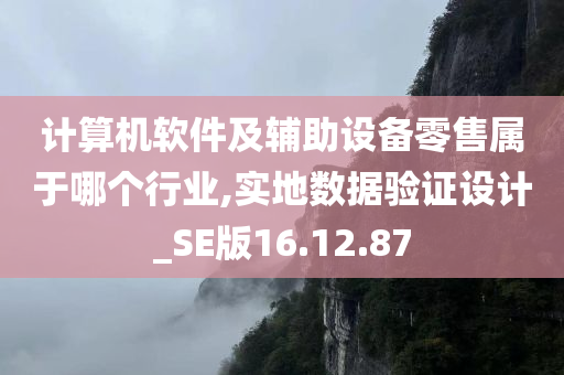 计算机软件及辅助设备零售属于哪个行业,实地数据验证设计_SE版16.12.87