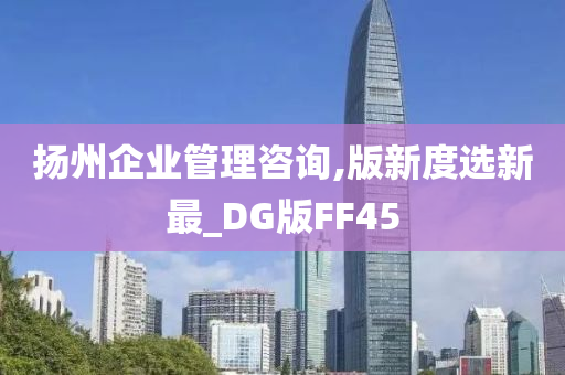 扬州企业管理咨询,版新度选新最_DG版FF45