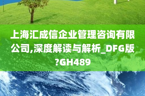 上海汇成信企业管理咨询有限公司,深度解读与解析_DFG版?GH489