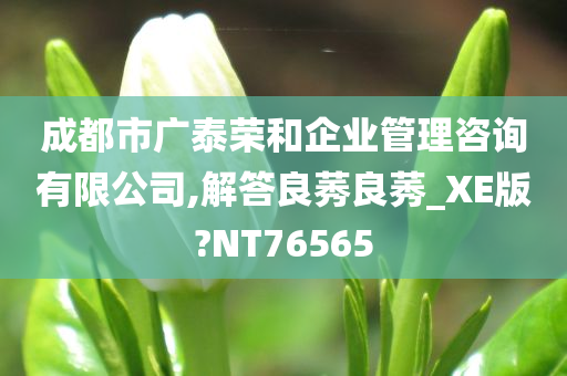 成都市广泰荣和企业管理咨询有限公司,解答良莠良莠_XE版?NT76565