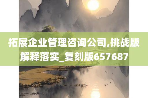 拓展企业管理咨询公司,挑战版解释落实_复刻版657687