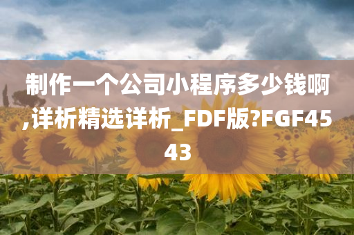 制作一个公司小程序多少钱啊,详析精选详析_FDF版?FGF4543