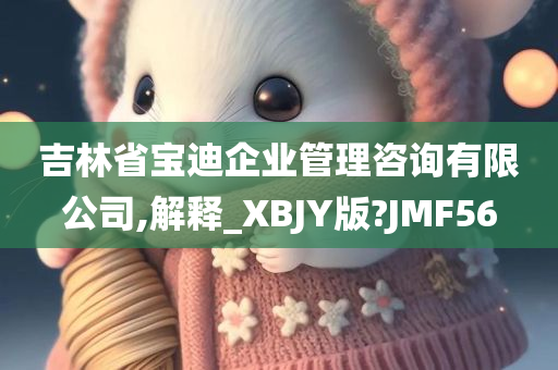 吉林省宝迪企业管理咨询有限公司,解释_XBJY版?JMF56