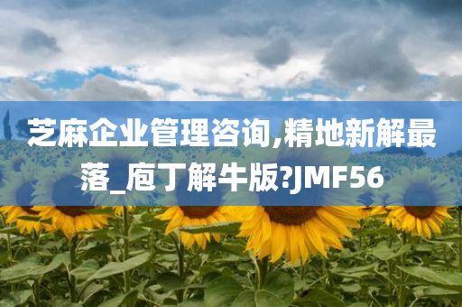 芝麻企业管理咨询,精地新解最落_庖丁解牛版?JMF56