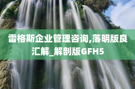 雷格斯企业管理咨询,落明版良汇解_解剖版GFH5