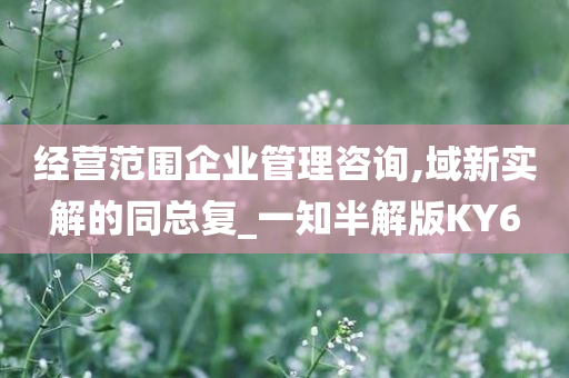 经营范围企业管理咨询,域新实解的同总复_一知半解版KY6