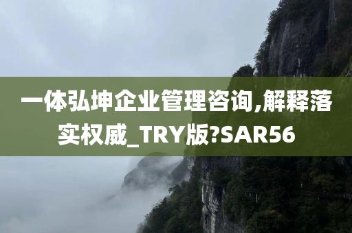 一体弘坤企业管理咨询,解释落实权威_TRY版?SAR56