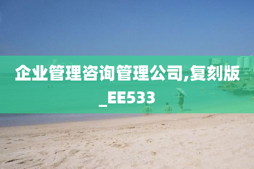 企业管理咨询管理公司,复刻版_EE533