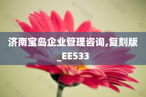 济南宝岛企业管理咨询,复刻版_EE533