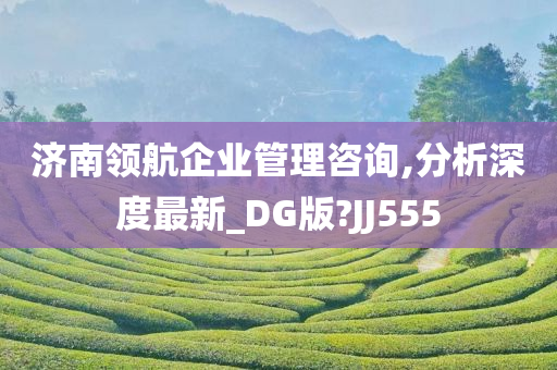 济南领航企业管理咨询,分析深度最新_DG版?JJ555