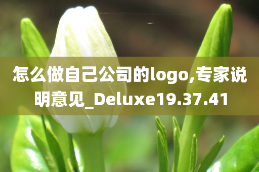 怎么做自己公司的logo,专家说明意见_Deluxe19.37.41