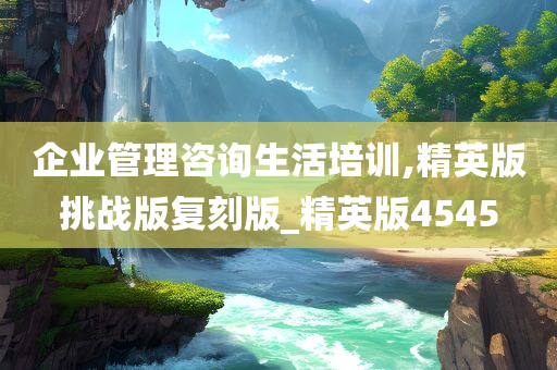 企业管理咨询生活培训,精英版挑战版复刻版_精英版4545