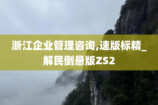 浙江企业管理咨询,速版标精_解民倒悬版ZS2