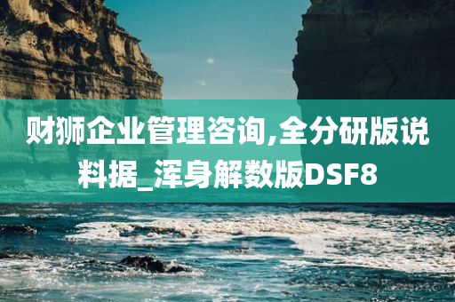 财狮企业管理咨询,全分研版说料据_浑身解数版DSF8