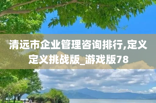 清远市企业管理咨询排行,定义定义挑战版_游戏版78