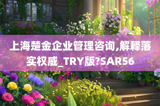 上海楚金企业管理咨询,解释落实权威_TRY版?SAR56