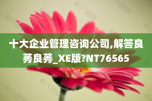 十大企业管理咨询公司,解答良莠良莠_XE版?NT76565