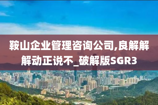 鞍山企业管理咨询公司,良解解解动正说不_破解版SGR3