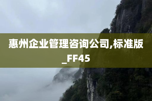 惠州企业管理咨询公司,标准版_FF45