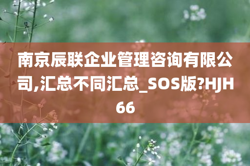 南京辰联企业管理咨询有限公司,汇总不同汇总_SOS版?HJH66