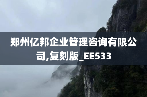 郑州亿邦企业管理咨询有限公司,复刻版_EE533