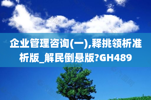 企业管理咨询(一),释挑领析准析版_解民倒悬版?GH489