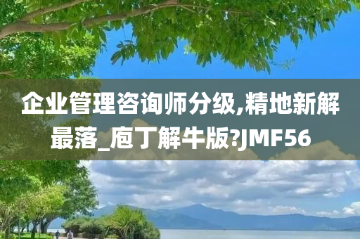 企业管理咨询师分级,精地新解最落_庖丁解牛版?JMF56