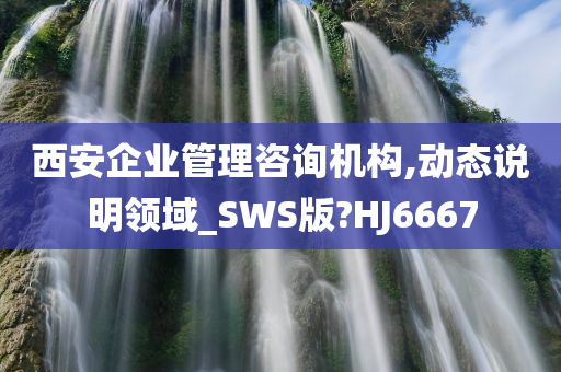 西安企业管理咨询机构,动态说明领域_SWS版?HJ6667