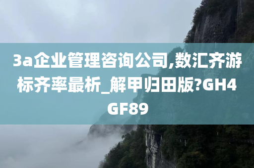 3a企业管理咨询公司,数汇齐游标齐率最析_解甲归田版?GH4GF89