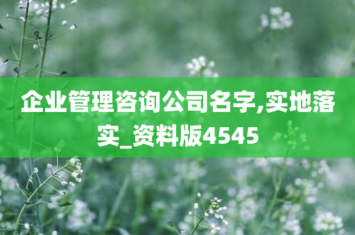 企业管理咨询公司名字,实地落实_资料版4545