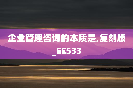 企业管理咨询的本质是,复刻版_EE533