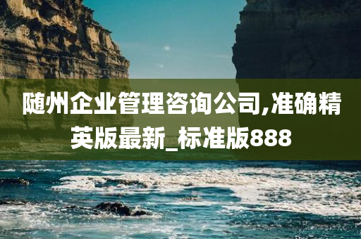 随州企业管理咨询公司,准确精英版最新_标准版888