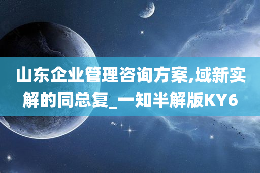 山东企业管理咨询方案,域新实解的同总复_一知半解版KY6