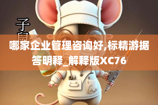 哪家企业管理咨询好,标精游据答明释_解释版XC76