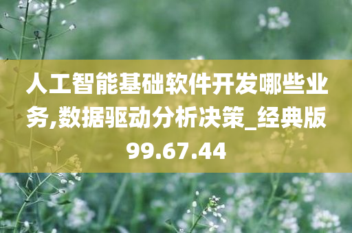 人工智能基础软件开发哪些业务,数据驱动分析决策_经典版99.67.44