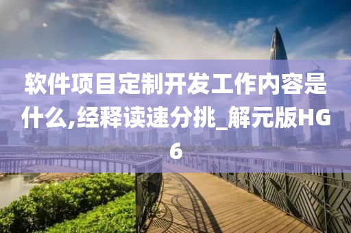 软件项目定制开发工作内容是什么,经释读速分挑_解元版HG6