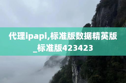 代理ipapi,标准版数据精英版_标准版423423