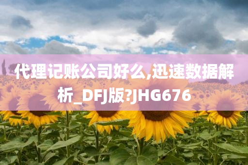 代理记账公司好么,迅速数据解析_DFJ版?JHG676