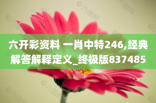 六开彩资料 一肖中特246,经典解答解释定义_终极版837485