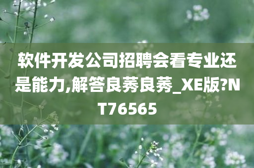 软件开发公司招聘会看专业还是能力,解答良莠良莠_XE版?NT76565