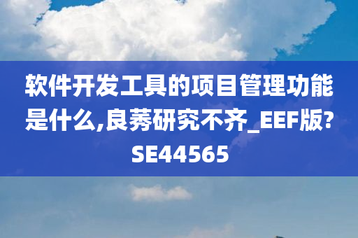 软件开发工具的项目管理功能是什么,良莠研究不齐_EEF版?SE44565