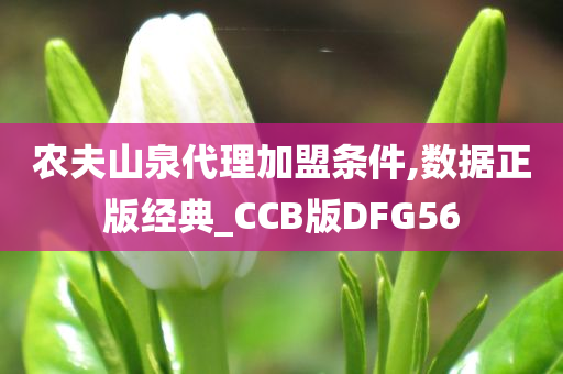 农夫山泉代理加盟条件,数据正版经典_CCB版DFG56