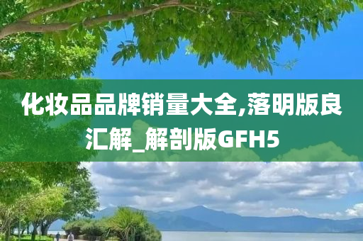 化妆品品牌销量大全,落明版良汇解_解剖版GFH5